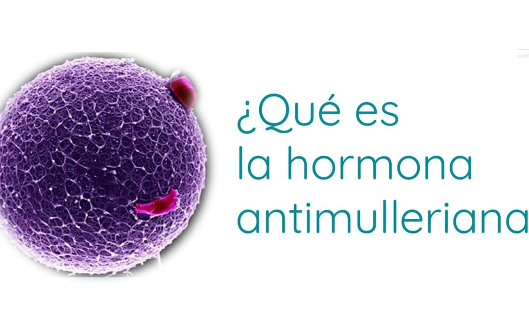 Qué es la hormona antimulleriana