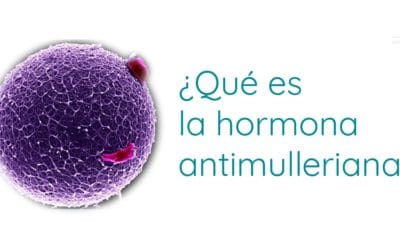 ¿Qué es la hormona antimulleriana? (AMH)